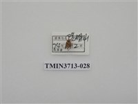 藏品(金龜子科)的圖片